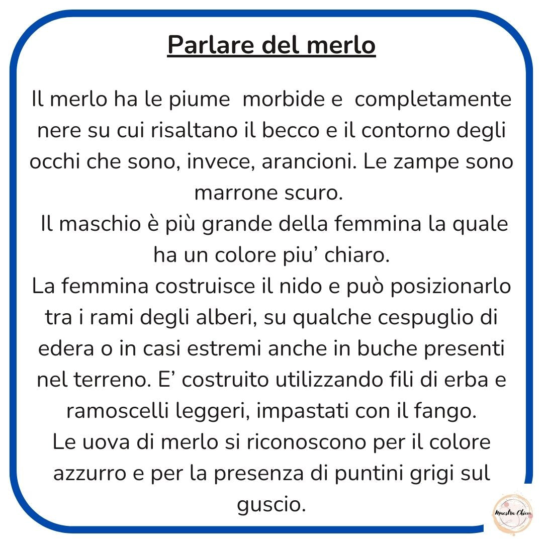 GIORNI DELLA MERLA