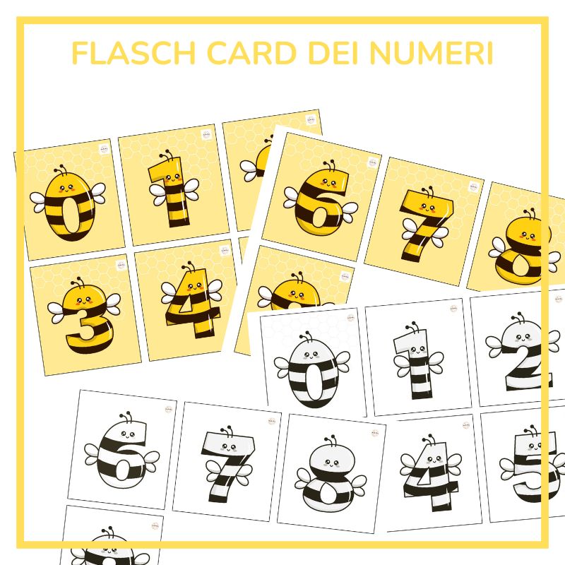COLLEZIONE APE