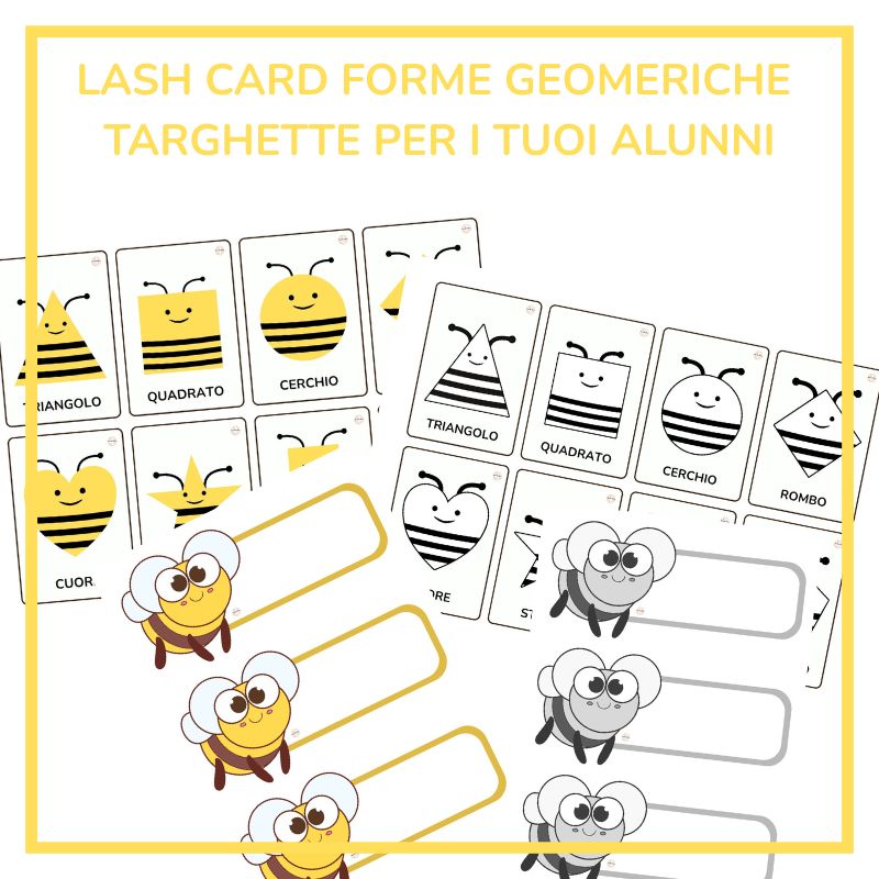 COLLEZIONE APE