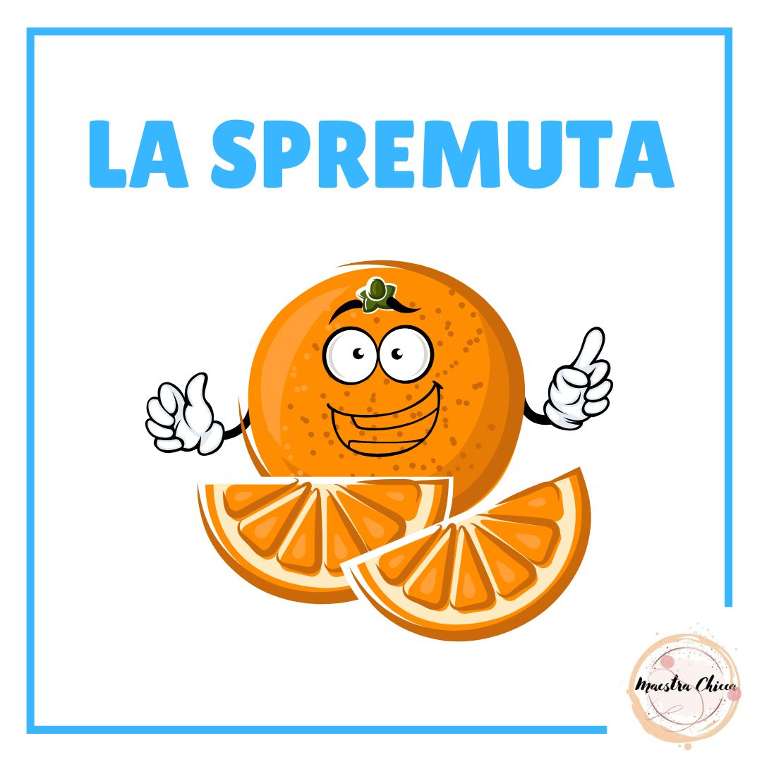 MINI LAPBOOK - SPREMUTA