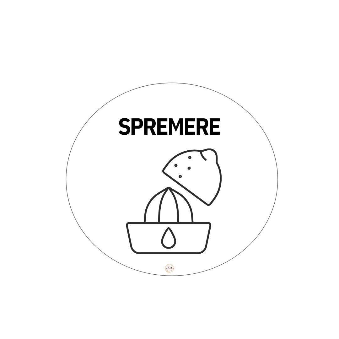 MINI LAPBOOK - SPREMUTA